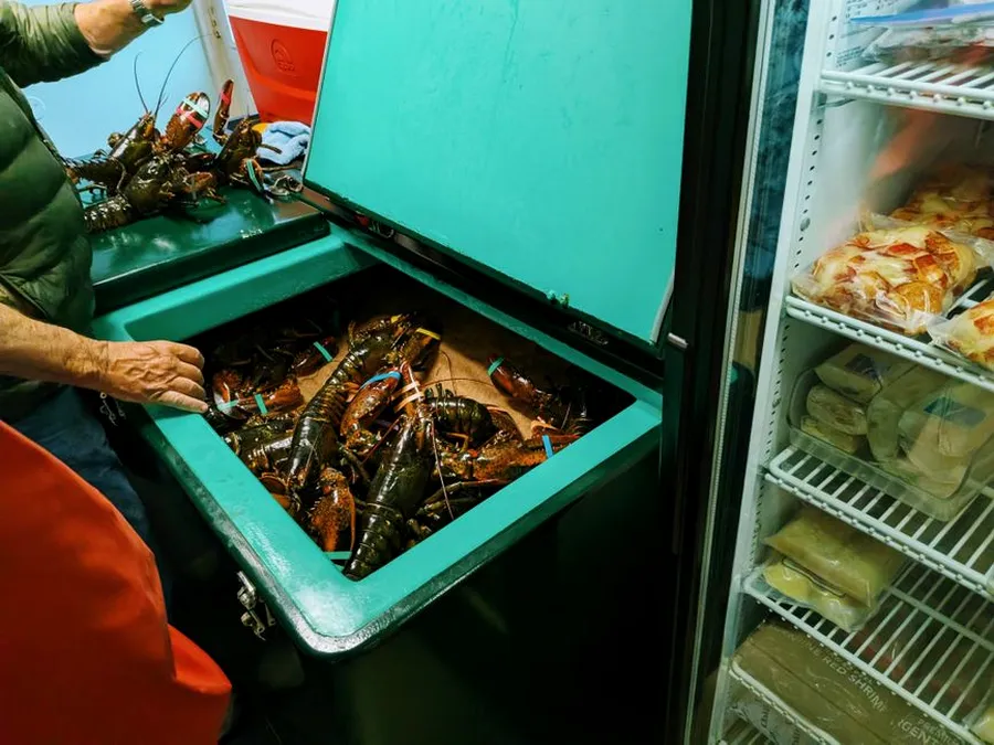 Freezer box 300 liter untuk kebutuhan acara dan tenant
