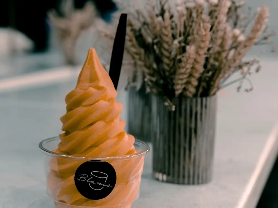Mesin soft ice cream untuk kebutuhan acara