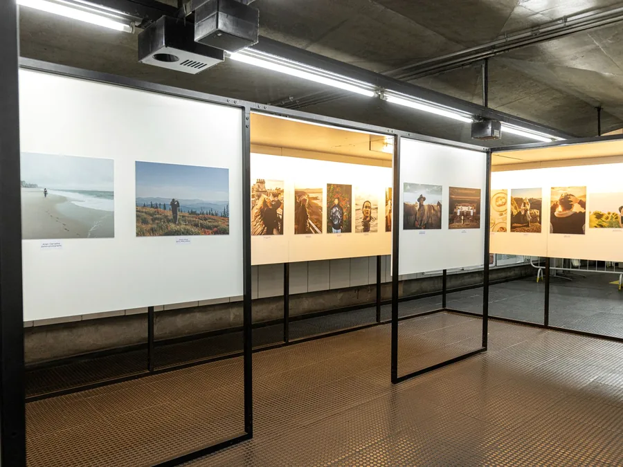 Panel partisi pameran berdiri berjajar memajang foto